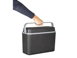 Autokoelbox - Arctic - 12 Volt - 12 Liter - Zwart/Grijs -Kampeer Verkoop 57 5 autokoelbox artic 12 volt 12 liter zwart grijs 6702862